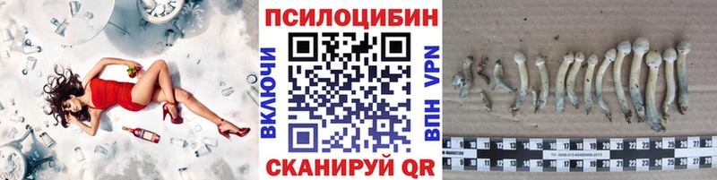 Псилоцибиновые грибы Magic Shrooms  даркнет сайт  Кувшиново 